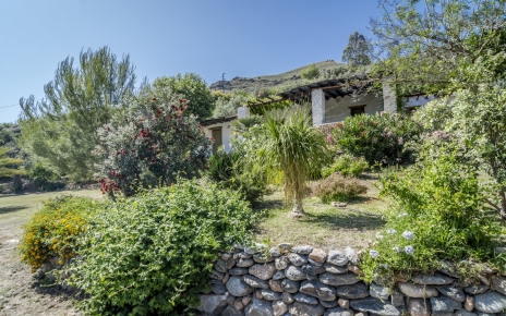 Jardines mediterráneos